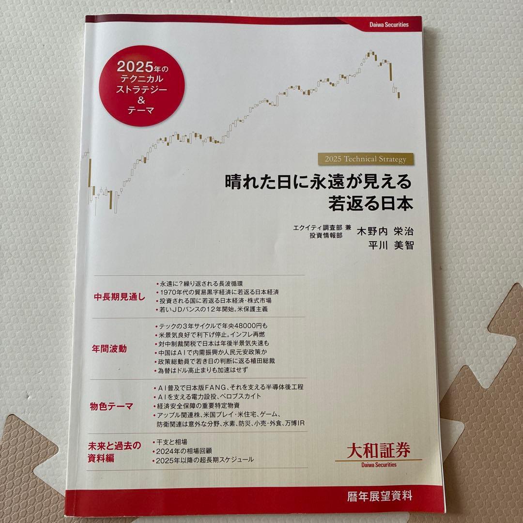 2025年 テクニカルストラテジー&テーマ 暦年展望 株資料 大和証券 大和