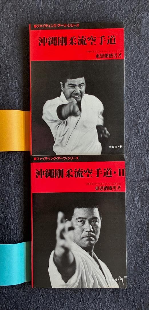 沖縄剛柔流空手道 東恩納盛男（2冊セット） - メルカリ