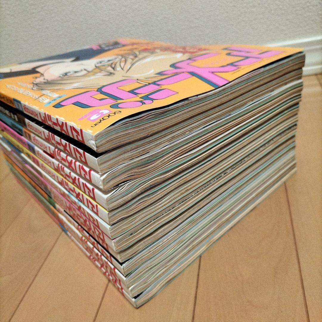 新品同様】アニメージュ〈12冊セット〉1995年1月号〜12月号 ふろく付き