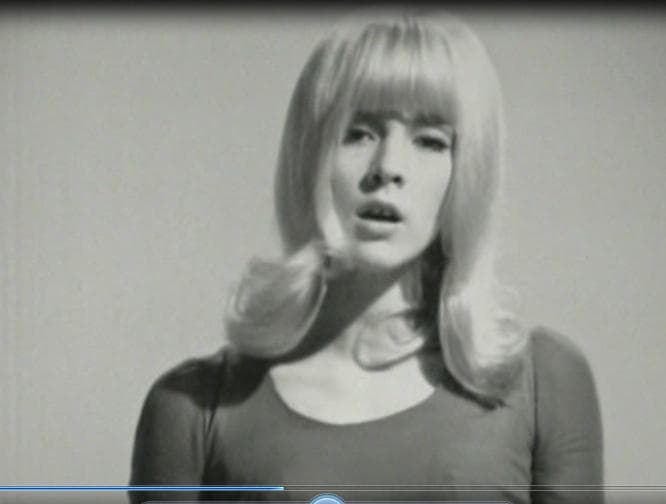 シルヴィ・ファン見逃せない２枚組DVD-6P『Les Annees』