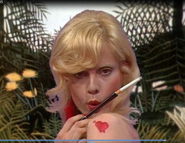 シルヴィ・ファン見逃せない２枚組DVD-6P『Les Annees』