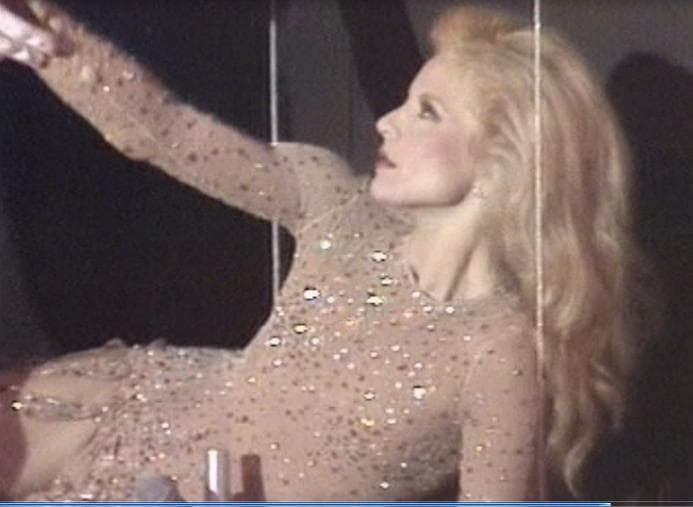 シルヴィ・ファン見逃せない２枚組DVD-6P『Les Annees』