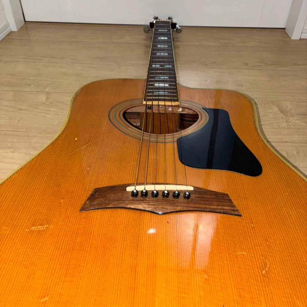 激レア！TF モーリス MORRIS W-621R schallerペグです