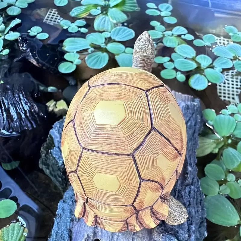 ヘサキリクガメ 10cm×7.3ｃｍ　クモノスガメ属 フィギュア リクガメ