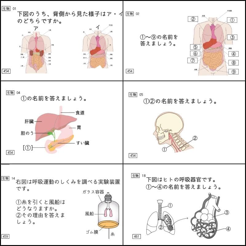 中学受験 暗記カード 理科 生物 サピックス 予習シリーズ コアプラス