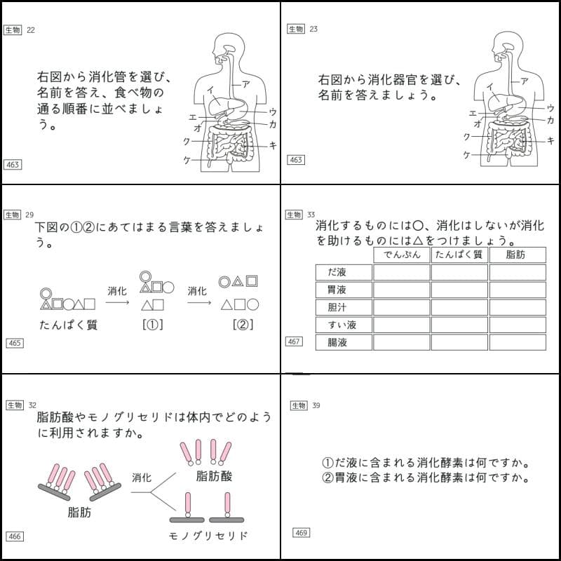 中学受験 暗記カード 理科 生物 サピックス 予習シリーズ コアプラス