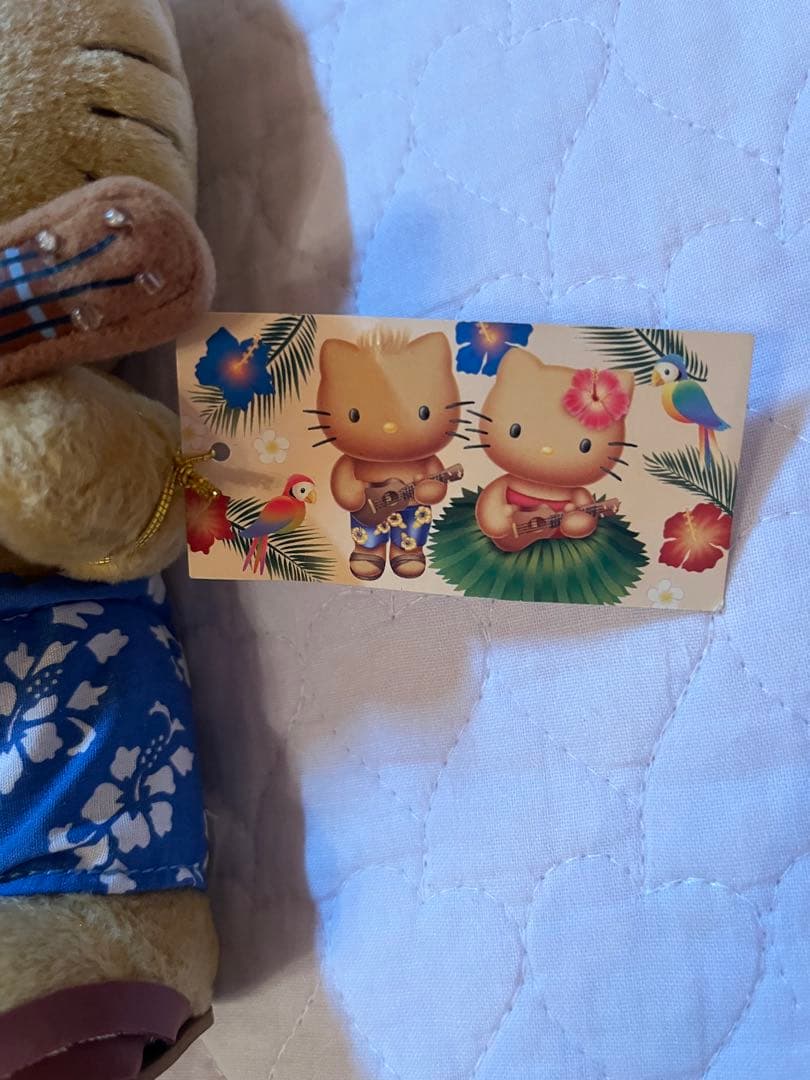 激レア・新品未使用】日焼けダニエル ギター ぬいぐるみ ハイビスカス