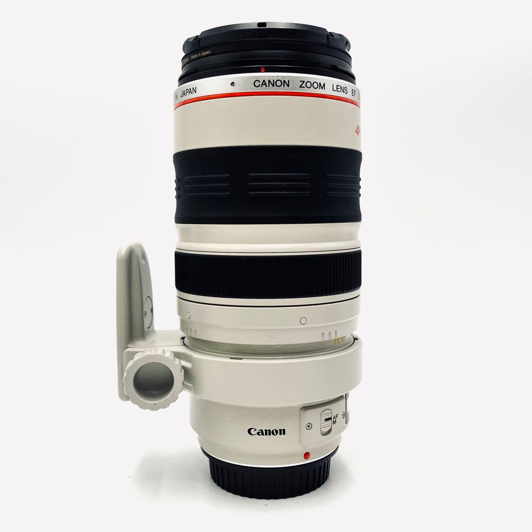 レンズ(ズーム) Canon EF 35-350mm F3.5-5.6 L USM