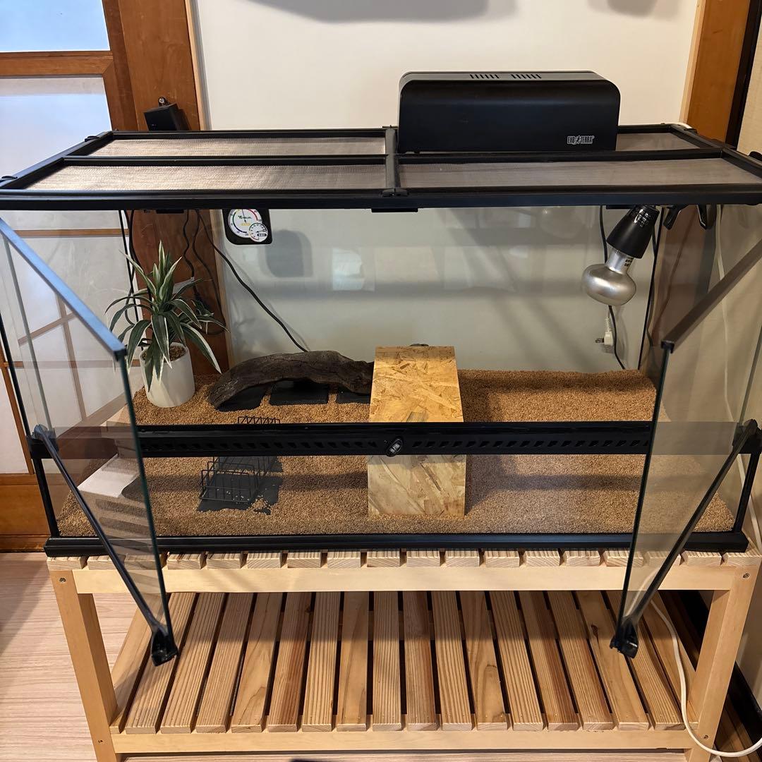 香川引取】GEX エキゾテラ グラステラリウム9045 ハリネズミ飼育