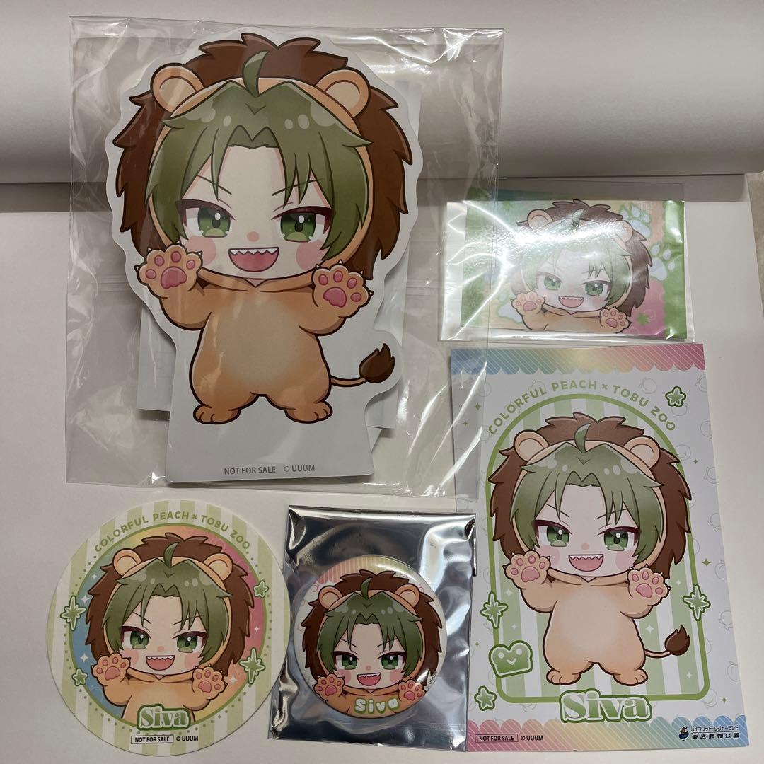 本日限定 カラフルピーチ 東武動物公園 限定 シヴァ セット - メルカリ
