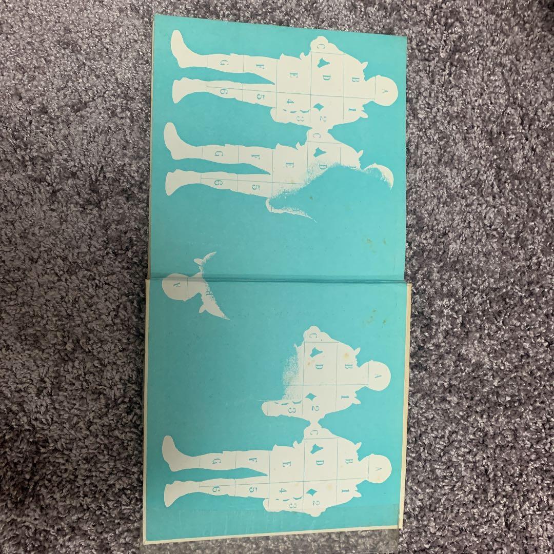 三島由紀夫が絶賛した春日井建の「未青年」行け帰ることなく・1956