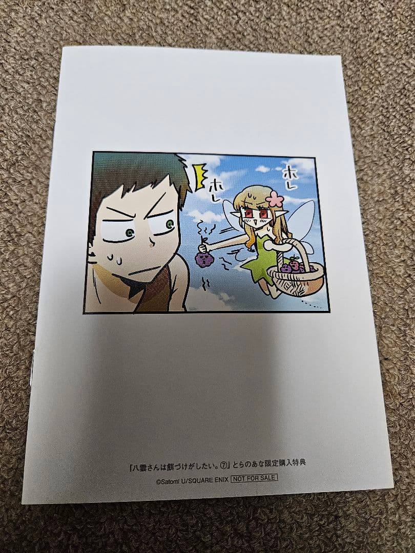 八雲さんは餌づけがしたい。 とらのあな 特典 書き下ろし小冊子