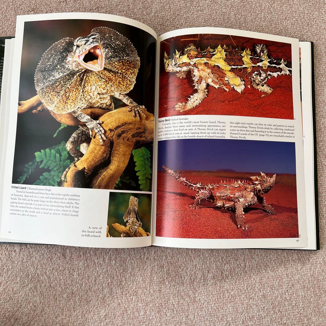 洋書 Reptiles & Amphibians 爬虫類、両生類 - メルカリ