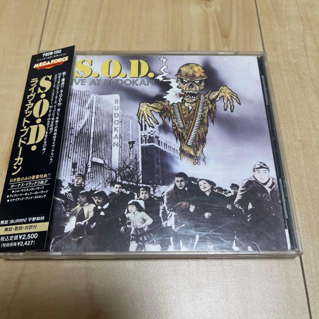 POT EVERLONG ライブDVD