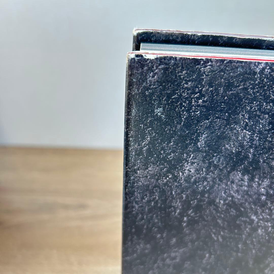 小島文美　画集　Santa Lilio Sangre　〜緋いユリ〜