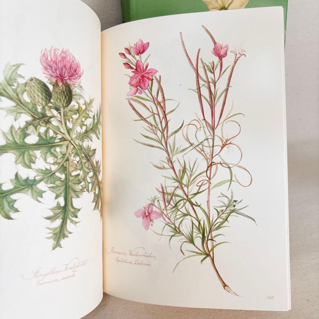繊細なタッチの植物画 2冊セット Elsa Felsko 1960年 - メルカリ