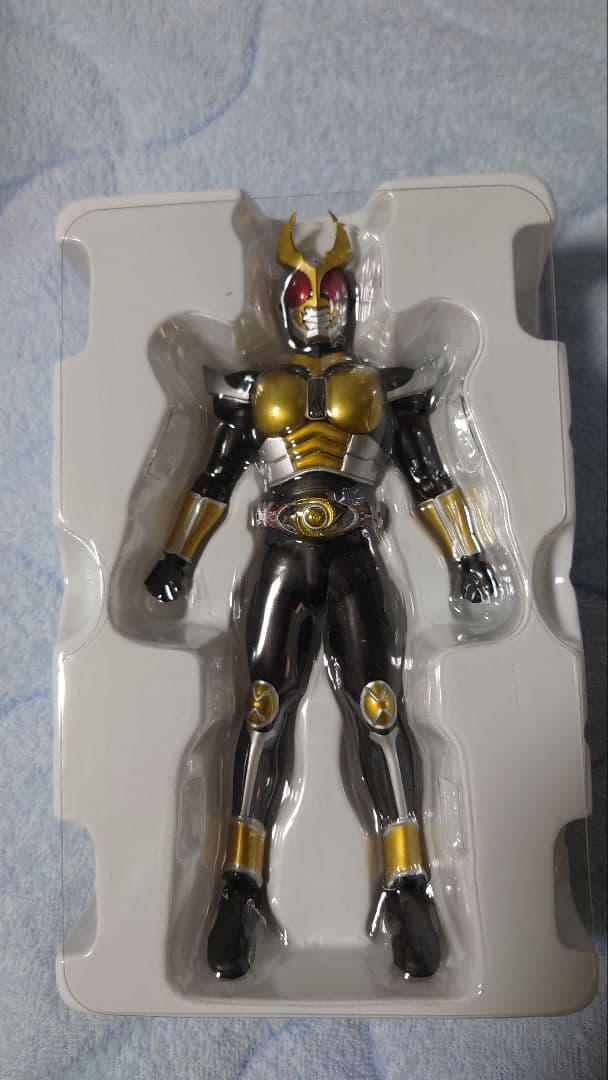 S.H.Figuarts　真骨彫　仮面ライダーアギト