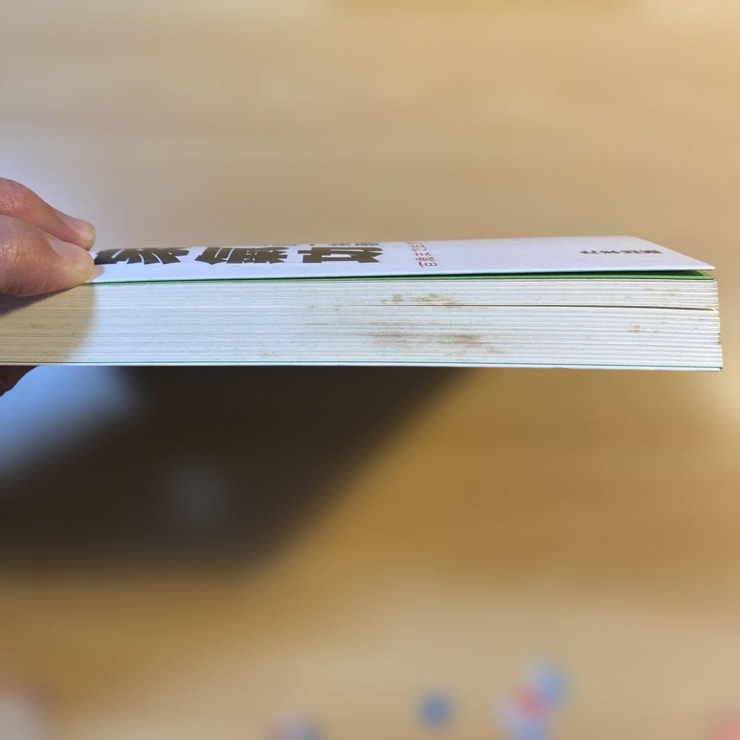 秘伝 道家気功 気功法 劉百齢 林義貢 塩田恵一 気功 医療 東洋思想 本