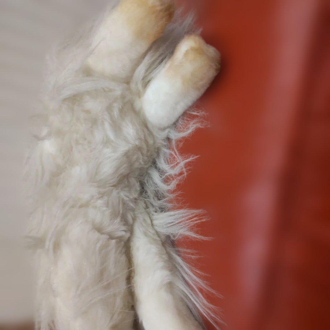 三英グレイスフル ペルシャ猫 日本製 アクリル 大型 ラスト - メルカリ