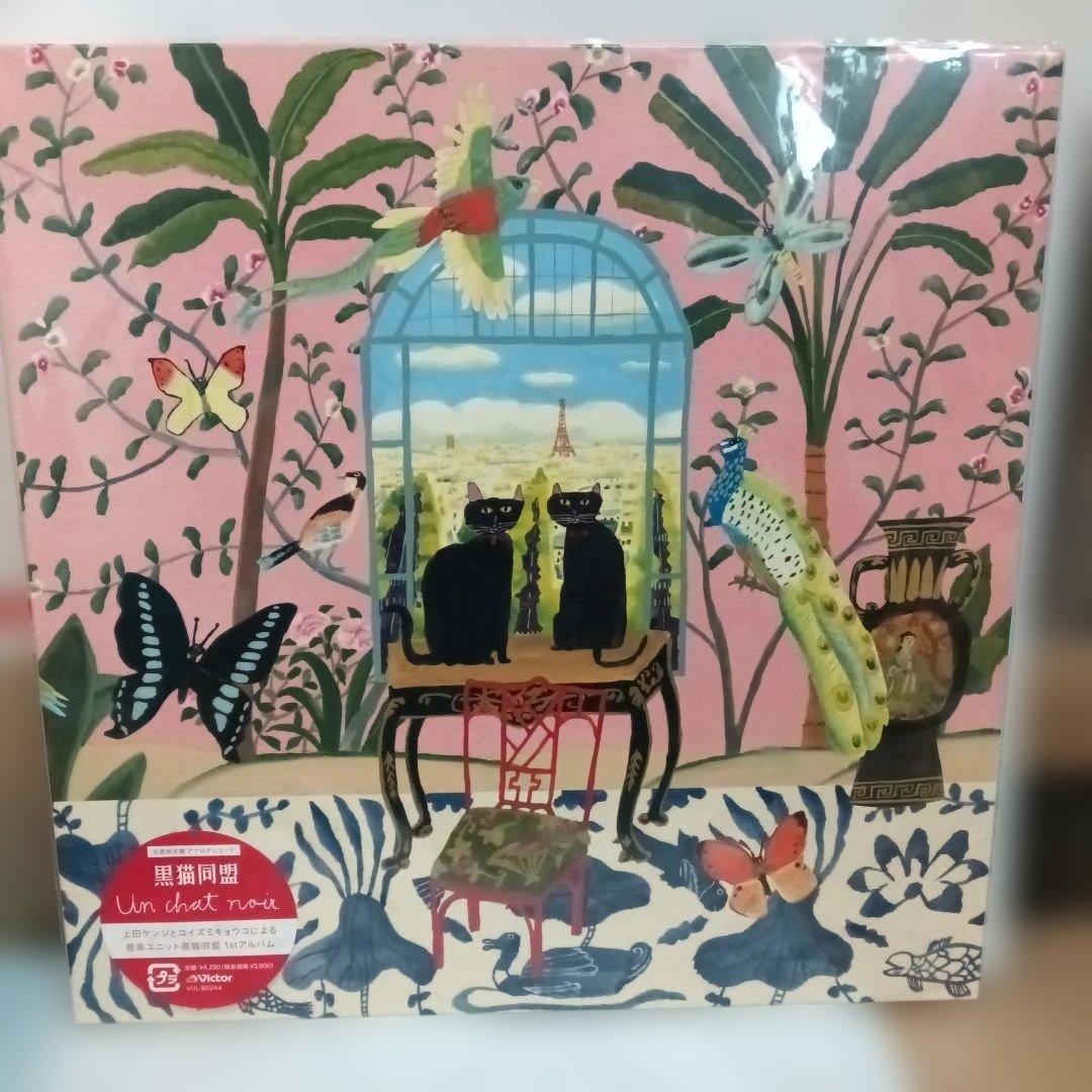 レコード スペース☆ダンディ Space☆Dandy 川辺ヒロシ 向井秀徳 レア