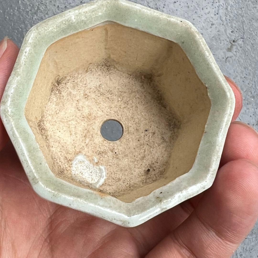 759.夢陶 額入八角鉢 盆栽鉢 豆鉢 5.6*5.9*3.8cm