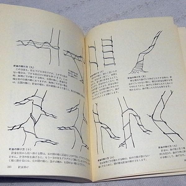 図解 盆栽樹形の作り方 五葉松盆栽の整姿 阿部倉吉 三友社 - メルカリ