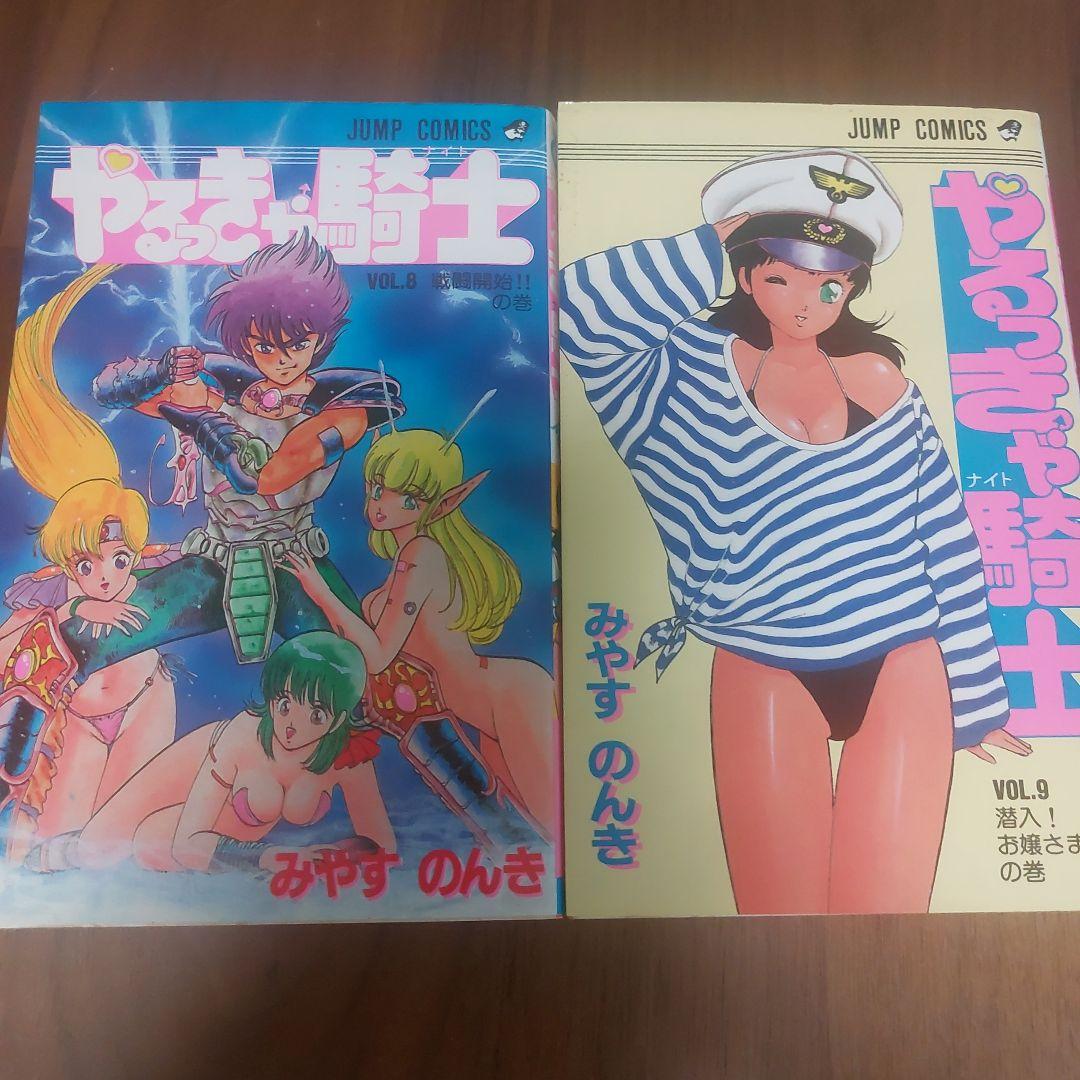 やるっきゃ騎士 全11巻セット