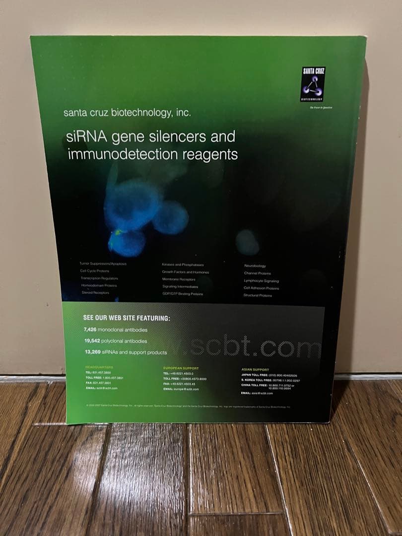 ジョジョの奇妙な冒険 公式 (@araki_jojo) / Posts / X ♡ 荒木飛呂彦