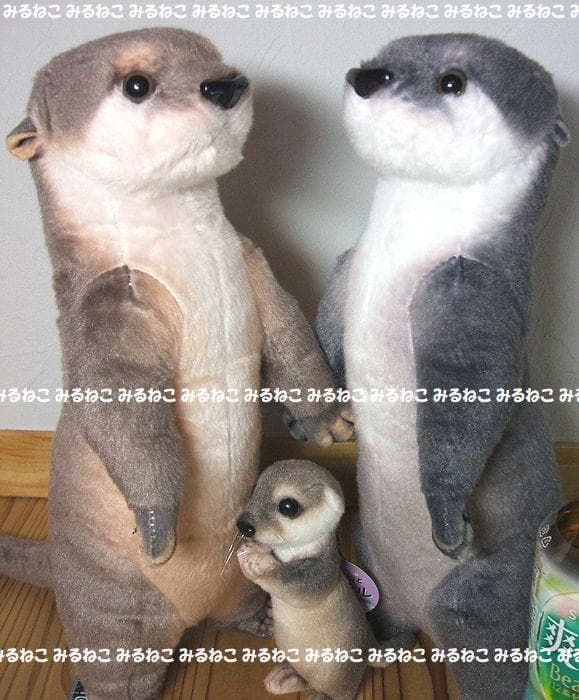 特大 アートドール リアルアニマルズ カワウソ 全2種 おねだり 未使用 セット