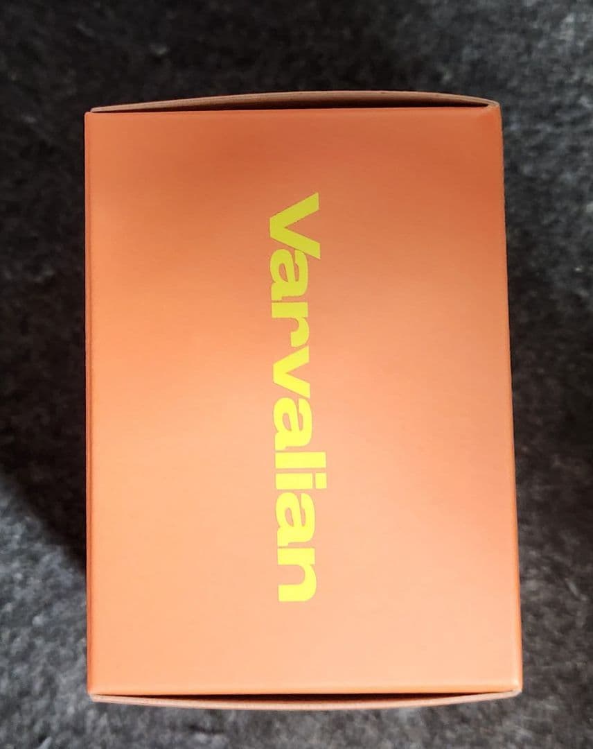 最安値 焼きパン フィギュア 限界 Varvalian バーバリアン ZETA - メルカリ