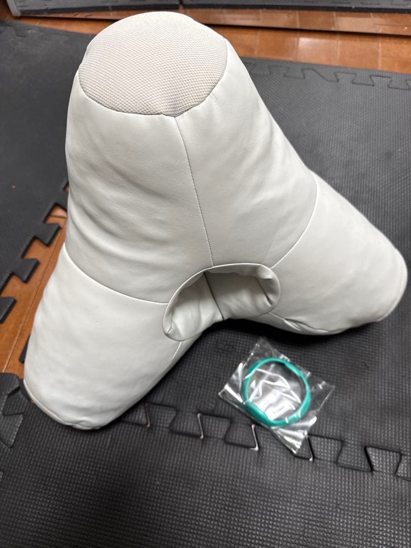 TENGA テンガテトラ　クッション 狩野英孝さんも注目の“セックスが上手くなるクッション”!? SNSで話題の