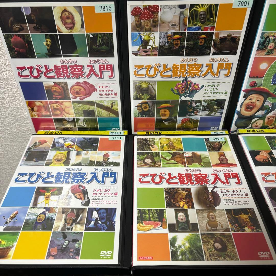 こびとづかん 観察入門 こびと大研究 DVD セット レンタルアップ 希少
