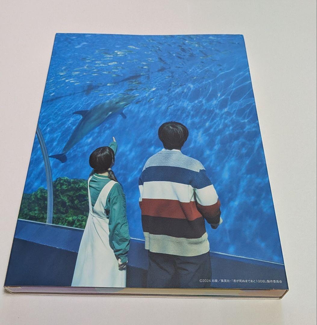 君が死ぬまであと100日 DVD BOX [完全生産限定版]レア 高橋優斗