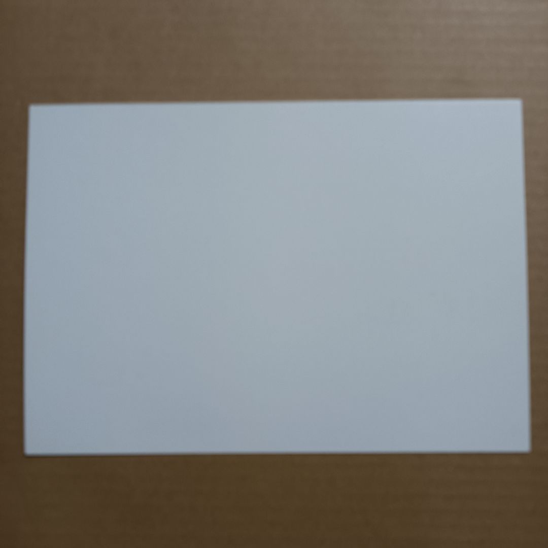 NIGHTWISH メンバー全員 直筆サイン色紙 美品 直筆サイン色紙