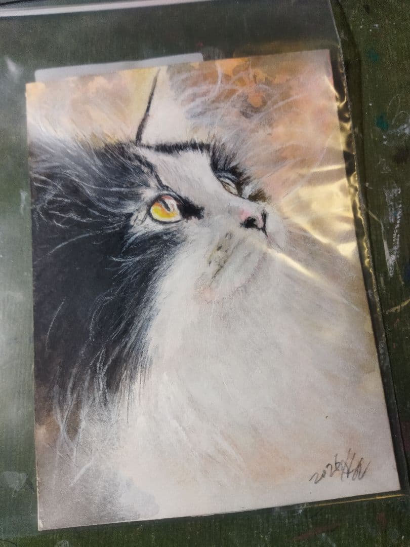 少し見上げる猫のイラスト原画 - メルカリ