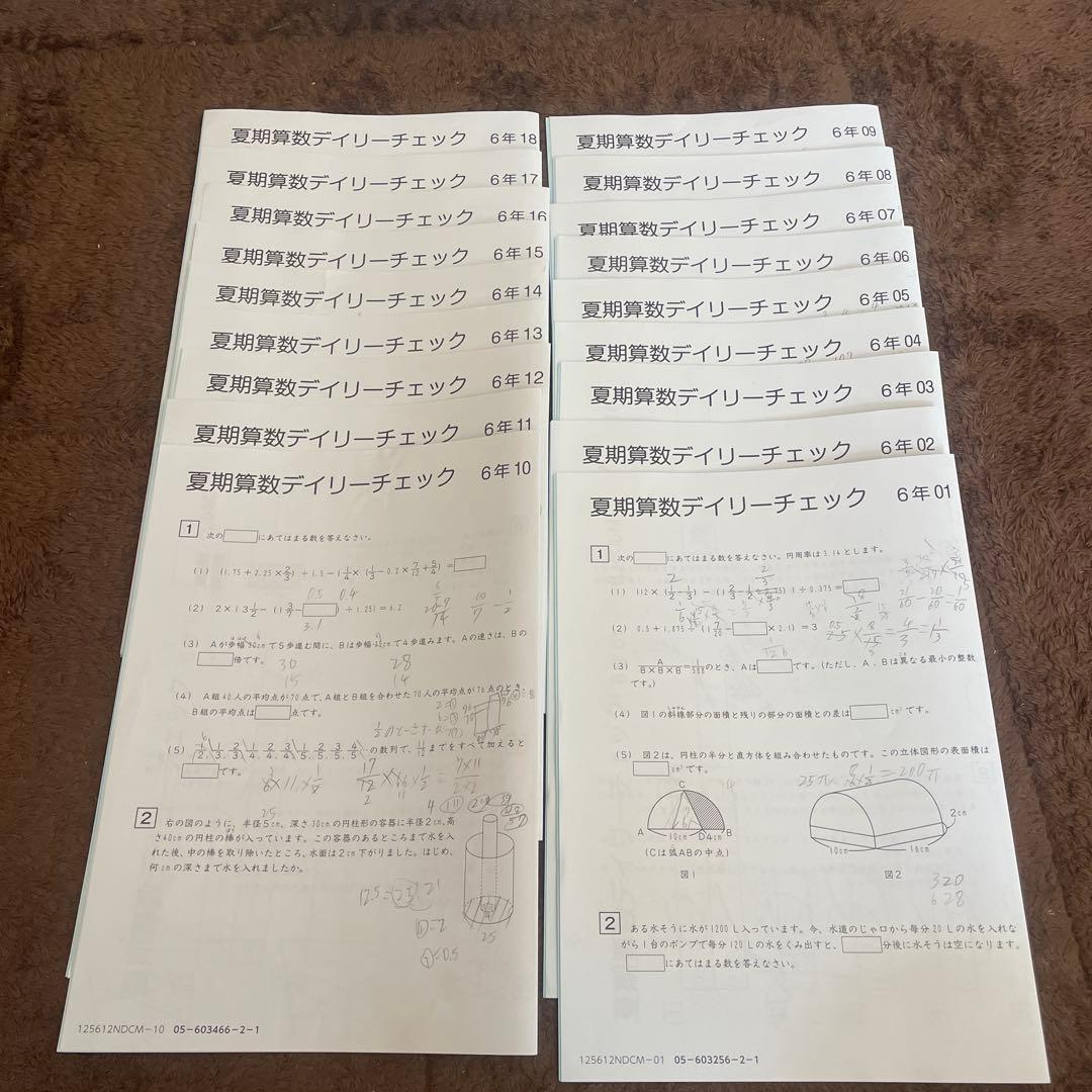サピックス SAPIX 6年 算数デイリーチェック レベルM 01～18 - メルカリ