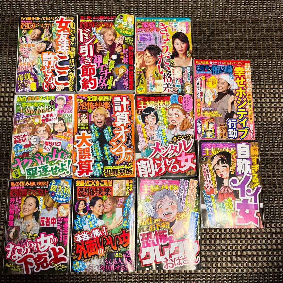 レディースコミック レディコミ 11冊セット - メルカリ