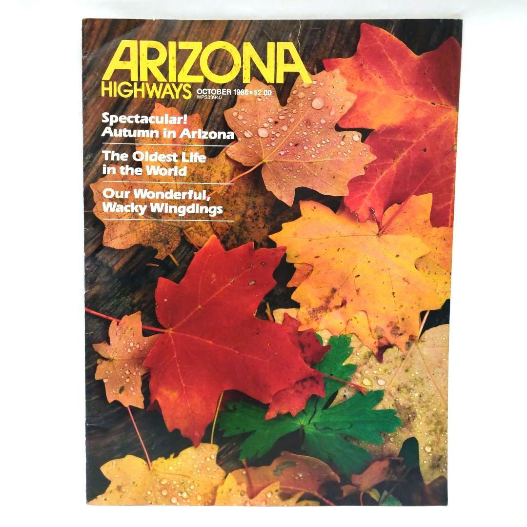 ARIZONA HIGHWAYS 1985年 1年分 アリゾナハイウェイ 洋書の通販｜www