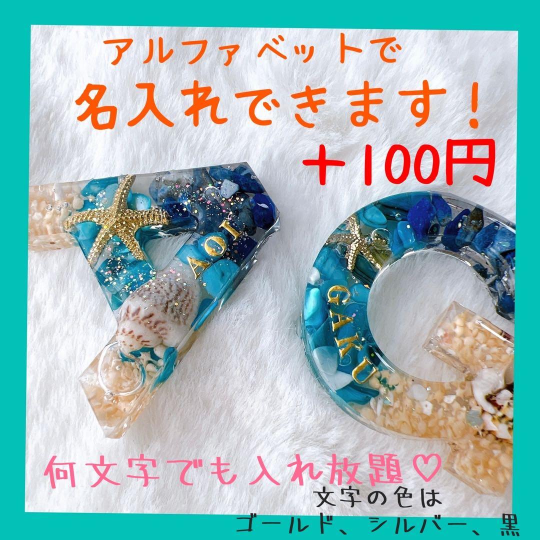 お急ぎ！２１日までに。むちょ様　アラモアナビーチ　12個　全て男の子に