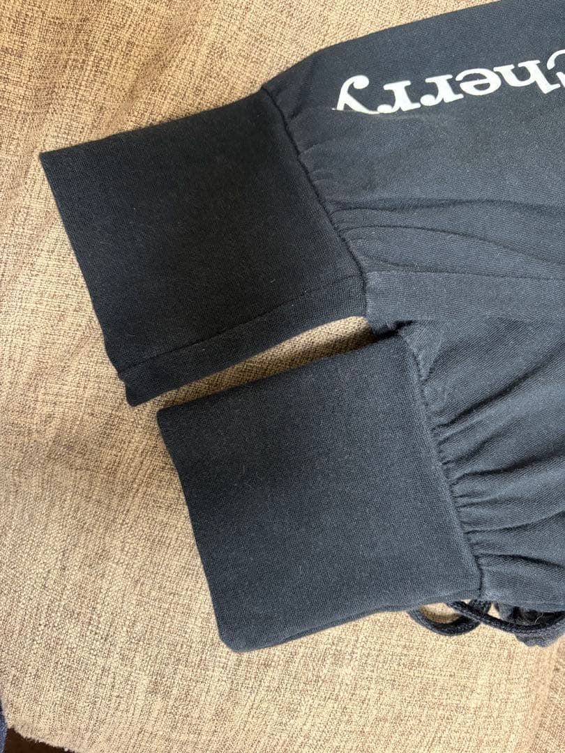 Acid Black Cherry パーカー&サルエル ライブタオル2枚