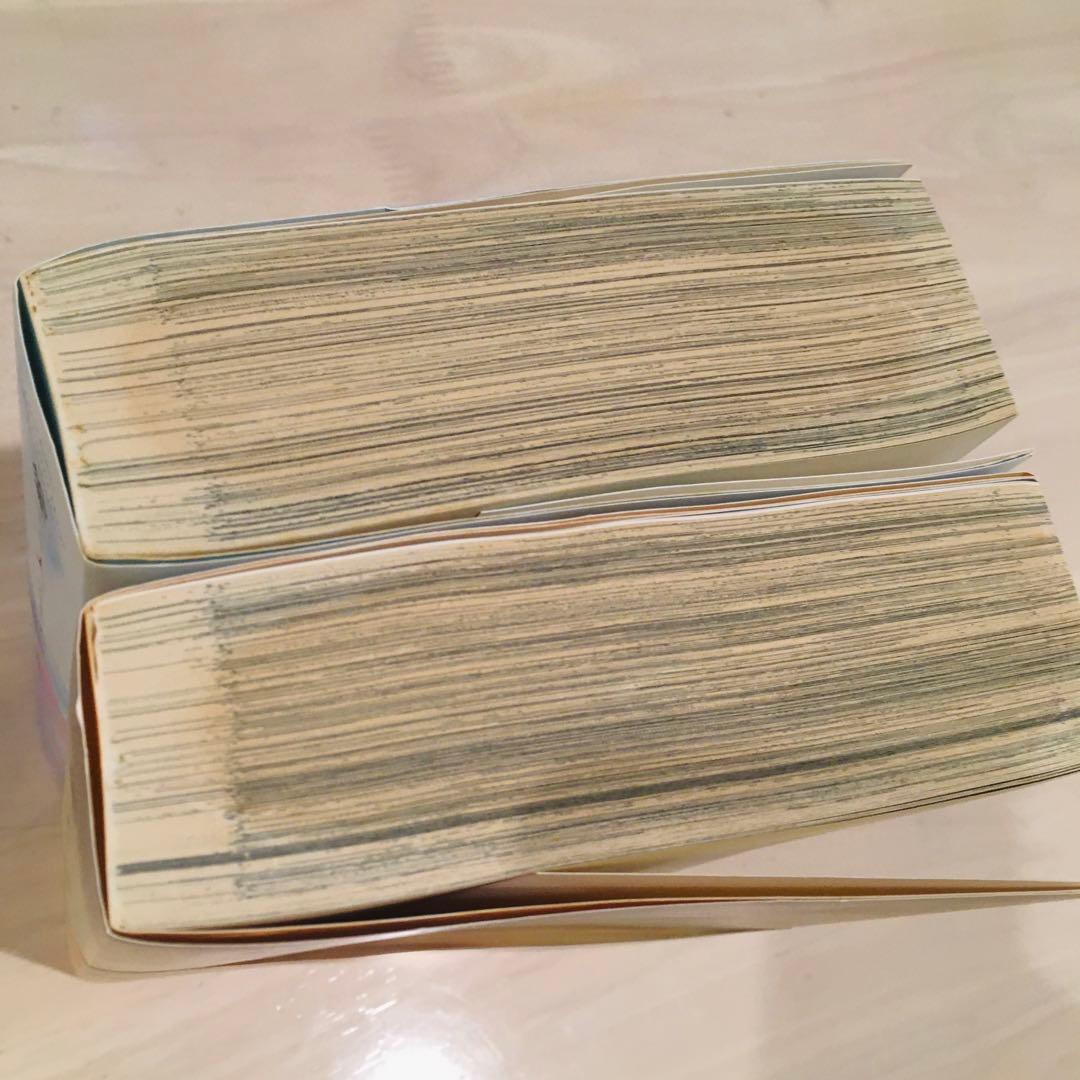 愛人　特別愛蔵版　上下巻セット　田中ユタカ