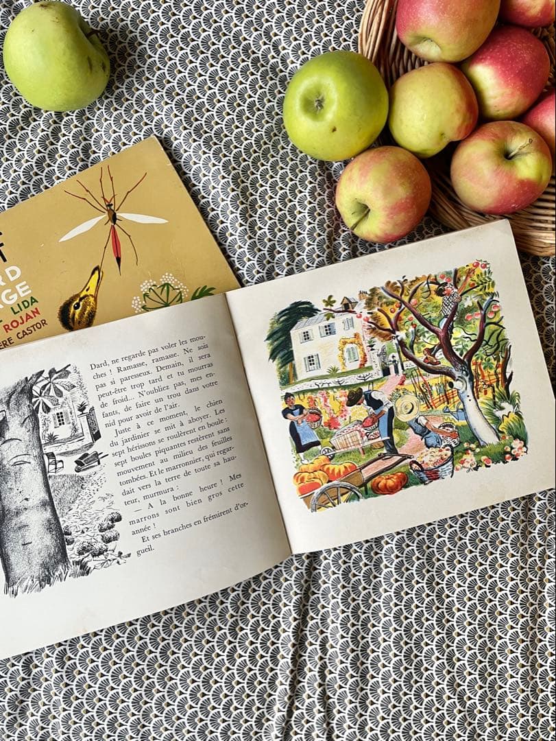 SALE希少フランス名作1900年代カストール絵本動物自然昆虫鳥イラスト