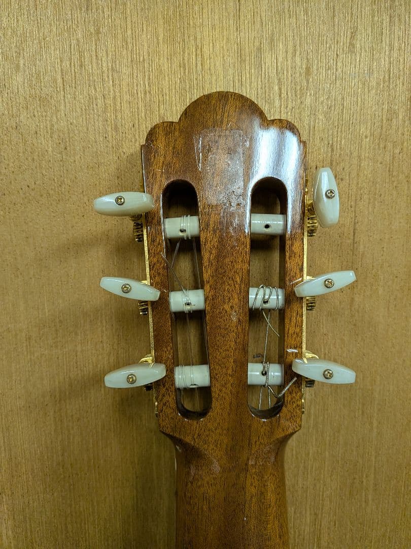 希少ASTURIAS（アストリアス）