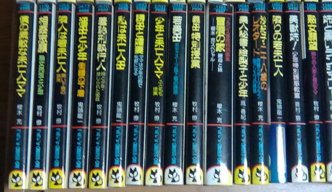 官能小説まとめ売り　計８５冊