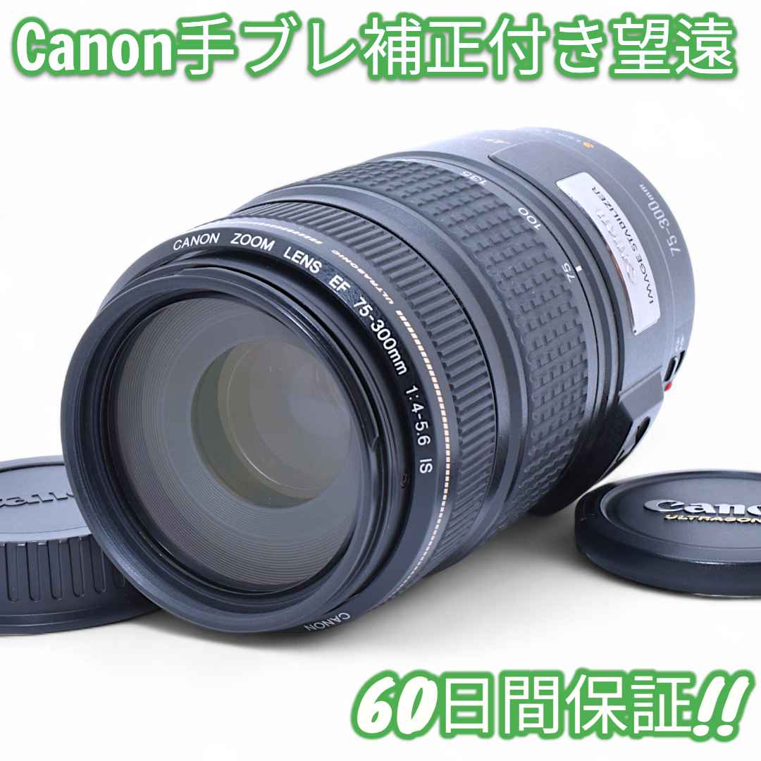 レンズ(ズーム) Canon EF 75-300mm F4-5.6 IS USM 9509 Canon EF 75-300mm f/4-5.6 IS USM Lens Review