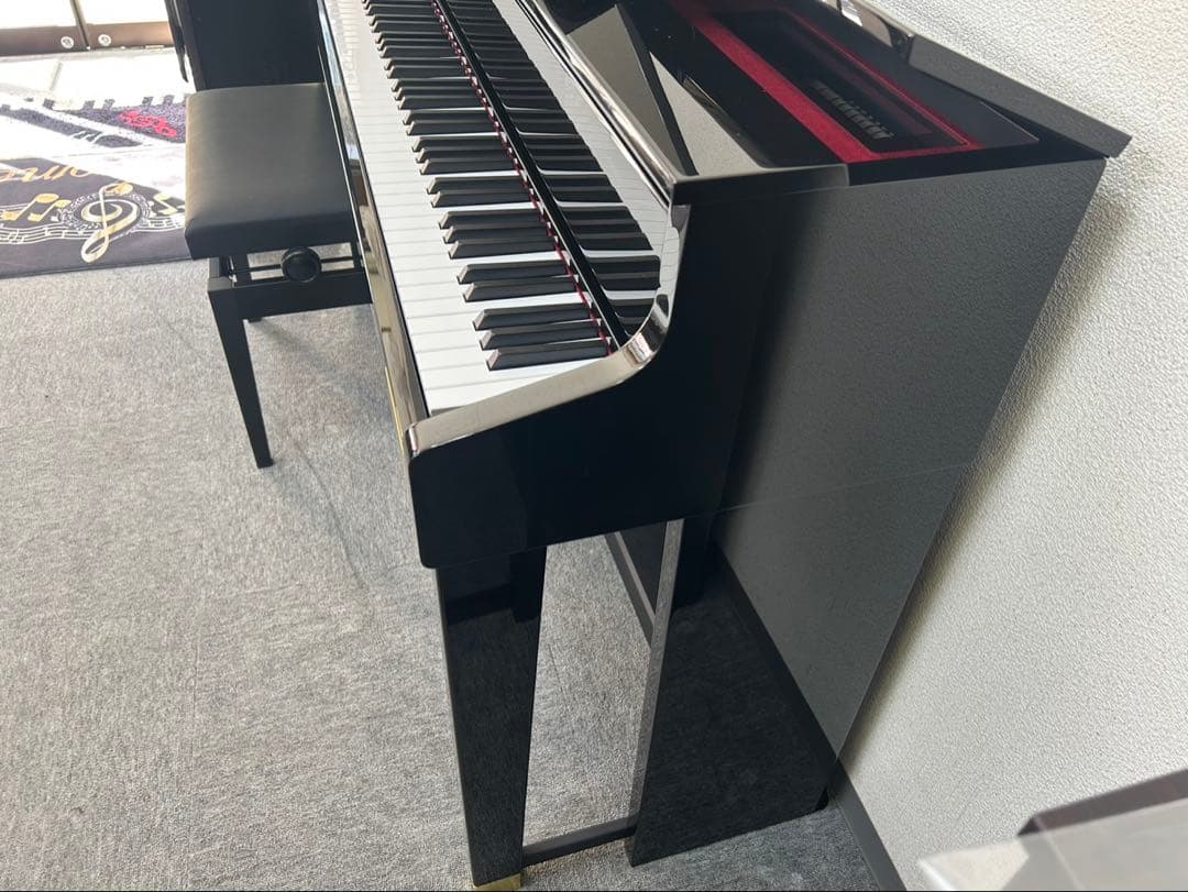 2025年製】極美品 CASIO GP-1000 島村楽器限定 ハイブリッド