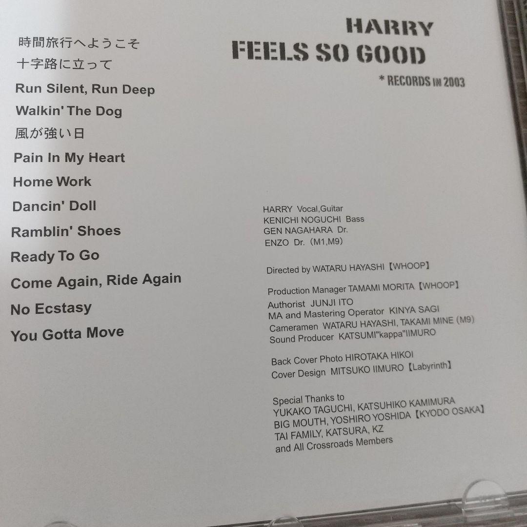HARRY (村越弘明) FEELS SO GOOD DVD - メルカリ