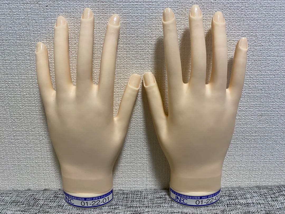 美品☆JNEC認定モデルハンド JNEC認定モデルハンド STモデルハンド 楽天市場】JNEC認定 STモデル