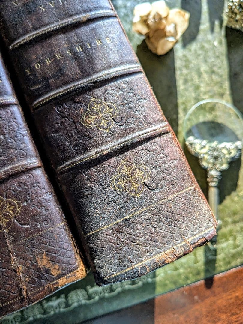 まるで貴族の書斎に飾られていたような、重厚なアンティーク本セット