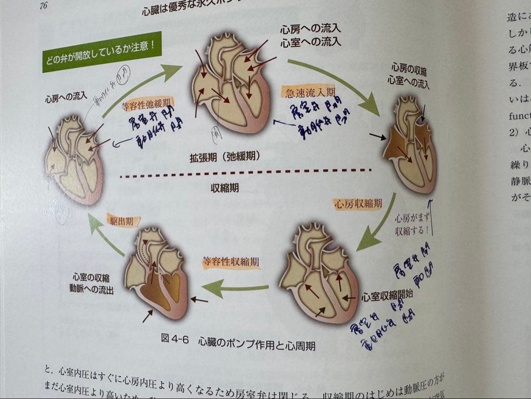 グラフィカル機能形態学 第三版 - メルカリ
